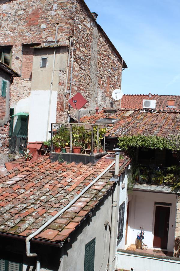 John B .&b. 2* Lucca